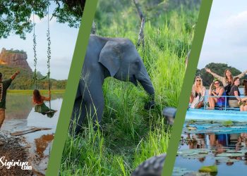 Sigiriya Rock rising above jungle in Sri Lanka
