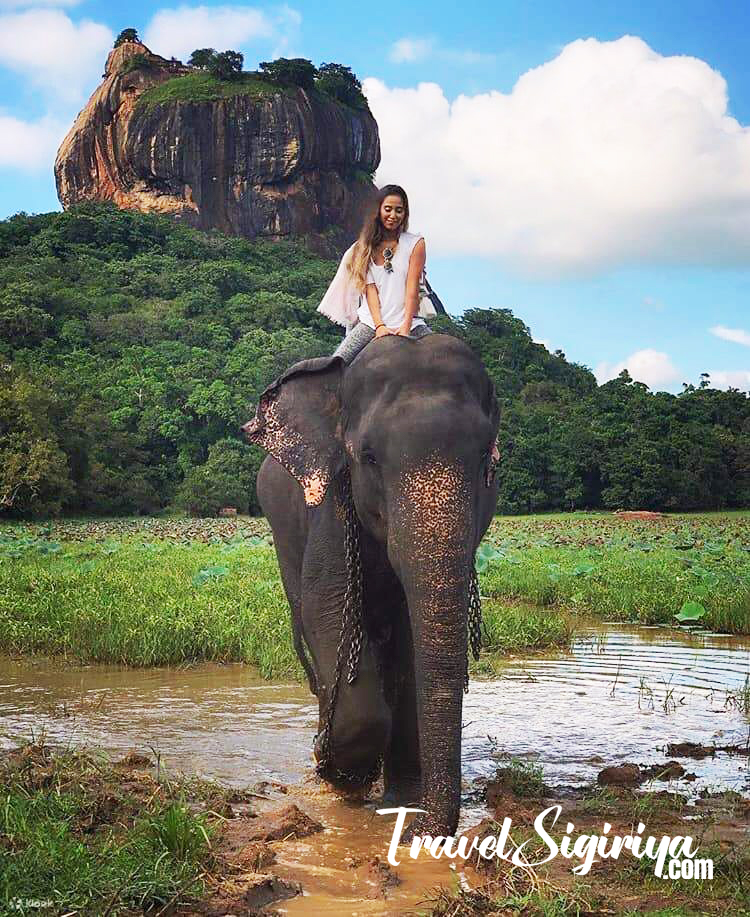 Sigiriya-elephant-riding-experiance