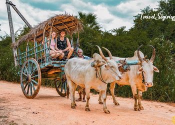 Sigiriya Village Tour: Experience The Traditional Side Of Sri Lanka