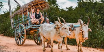 Sigiriya Village Tour: Experience The Traditional Side Of Sri Lanka