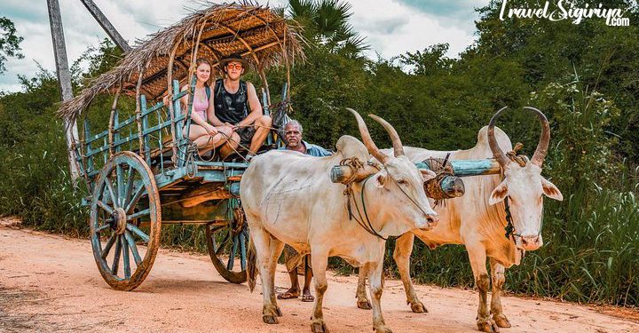 Sigiriya Village Tour: Experience The Traditional Side Of Sri Lanka