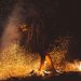 Important things you should know for Mount Agung hiking travel9